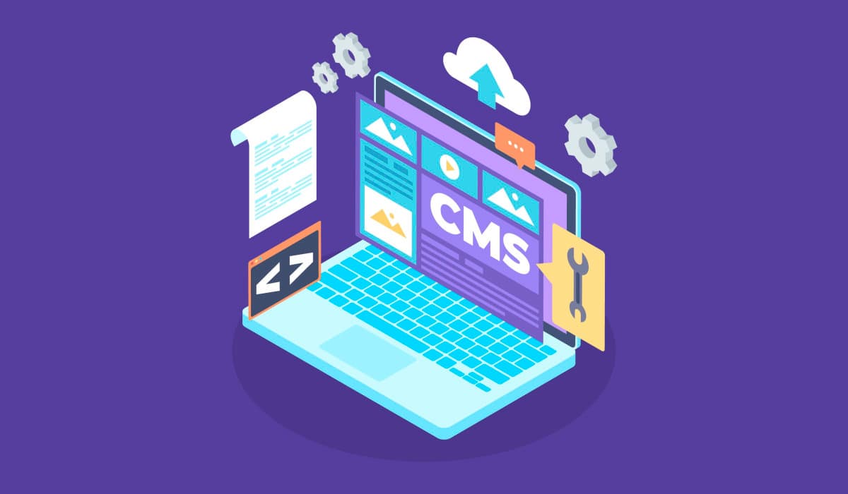 Custom CMS Development